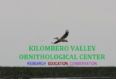 Kilombero Valley Ornithological Center